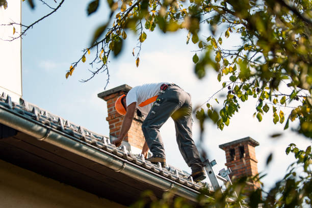 Best Storm Damage Roof Repair  in West Columbia, SC